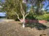 25 Cumberland Road, Forrestfield, WA 6058-Image