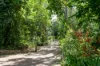 25 Donnellys Road, Ridgewood, Qld 4563-Image