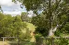 25 Donnellys Road, Ridgewood, Qld 4563-Image