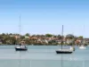 25 Dorking Road, Cabarita, NSW 2137-Image