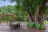 25 Dungogie Drive, Tallebudgera, Qld 4228-Image
