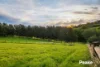 25 Edenmont Road, Emerald, Vic 3782-Image