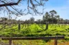 25 Edwards Avenue, Park Holme, SA 5043-Image