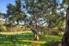 25 Foulkes Crescent, Clunes VIC 3370-Image