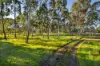 25 Foulkes Crescent, Clunes VIC 3370-Image