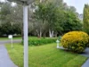 25 Hamish Grove, Rostrevor, SA 5073-Image