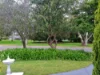 25 Hamish Grove, Rostrevor, SA 5073-Image