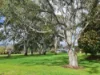 25 Hamish Grove, Rostrevor, SA 5073-Image