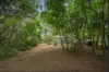 25 Harold Street, Bundamba, Qld 4304-Image
