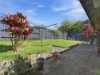 25 Jack Ladd Street, Coffs Harbour, NSW 2450-Image