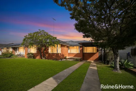 25 Koala Avenue, Ingleburn, NSW 2565