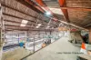 25 Kurrara Street, Lansvale, NSW 2166-Image