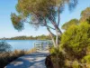 25 Lakeside Drive, Eden, NSW 2551-Image