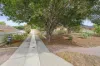 25 Launceston Avenue, Banksia Park, SA 5091-Image