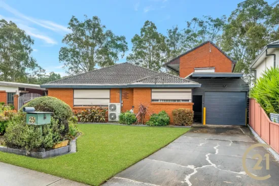 25 Lehmann Avenue, Liverpool, NSW 2170