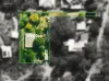 25 Leithdale Road, Darlington, WA 6070-Image