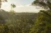 25 Leopard Avenue, Elanora, Qld 4221-Image