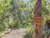 25 Letitia Road, Fingal Head, NSW 2487-Image