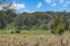 25 Lilly Pilly Drive, Banora Point, NSW 2486-Image