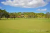 25 Lilly Pilly Drive, Banora Point, NSW 2486-Image