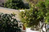 25 Linton Street, Upper Burnie, Tas 7320-Image