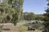 25 Lowden Close, Goldie, Vic 3435-Image