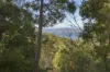 25 Lynden Road, Bonnet Hill, Tas 7053-Image