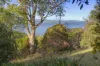 25 Lynden Road, Bonnet Hill, Tas 7053-Image