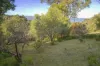 25 Lynden Road, Bonnet Hill, Tas 7053-Image