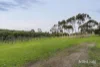25 Marendaz Road, Waurn Ponds, Vic 3216-Image