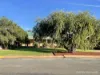 25 Margaret Street, Cobar, NSW 2835-Image