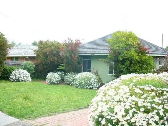 25 Margot Street, Chadstone, Vic 3148