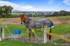25 Mast Road, Ararat VIC 3377-Image