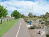 25 McArthur Avenue, Plympton, SA 5038-Image