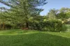 25 Melba Drive, East Ryde, NSW 2113-Image