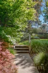 25 Melrose Drive, Mount Martha, Vic 3934-Image