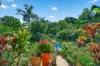 25 Moonlight Close, Mullumbimby, NSW 2482-Image