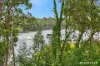 25 Nelligen Place, Nelligen, NSW 2536-Image