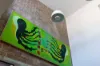 25 Nelson Street, Annandale, NSW 2038-Image