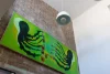 25 Nelson Street, Annandale, NSW 2038-Image