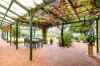 25 Nixon Road, Monash, SA 5342-Image
