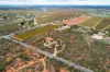 25 Nixon Road, Monash, SA 5342-Image