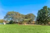 25 Noosa Court, Hillcrest, Qld 4118-Image
