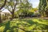 25 Ocean Street, Woollahra, NSW 2025-Image