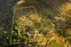 25 Old Reservoir Road, Chewton, Vic 3451-Image