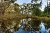 25 Old Reservoir Road, Chewton, Vic 3451-Image