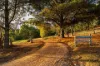 25 Old Reservoir Road, Chewton, Vic 3451-Image