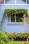 25 Peel Street, Belmore, NSW 2192-Image