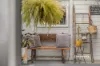 25 Pineleigh Street, Penguin, Tas 7316-Image
