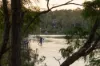 25 Radnor Street, Indooroopilly, Qld 4068-Image